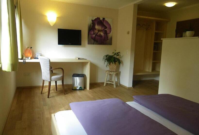 غرفة سوبيريور, Bio Hotel Bayerischer Wirt Augsburg