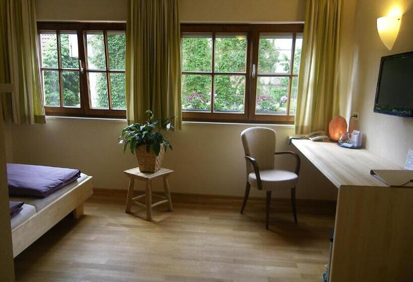 غرفة سوبيريور, Bio Hotel Bayerischer Wirt Augsburg