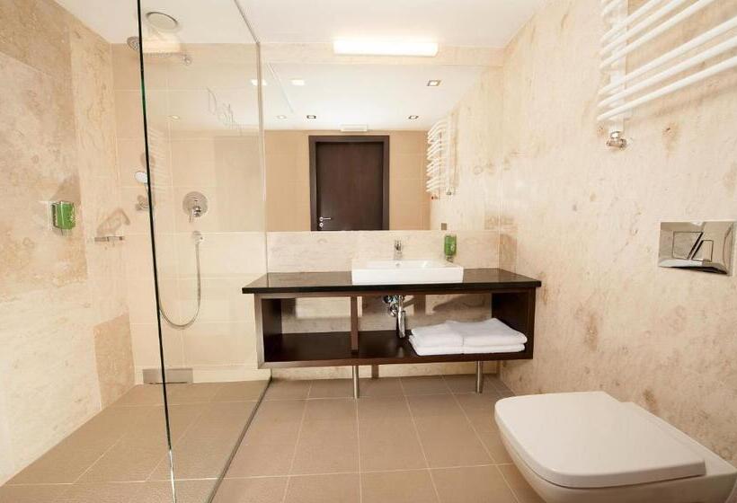 חדר סטנדרט יחיד, Desilva Premium Opole