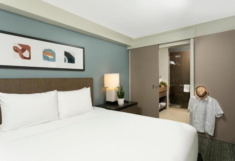 سوئیت با تخت بزرگ, Hyatt House San Juan