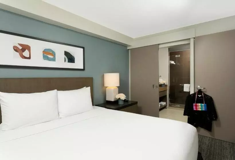 Suite with Views
