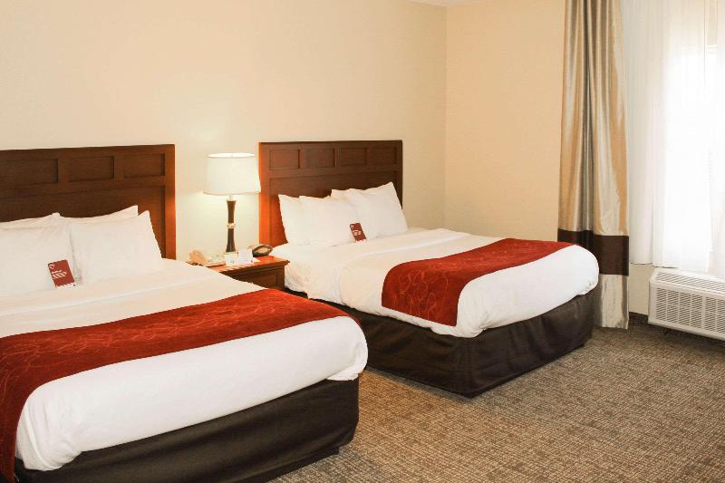 اتاق استاندارد, New Star