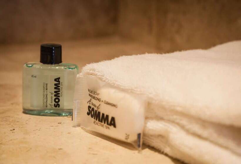 اتاق سوپریور, One Queretaro Centro Sur