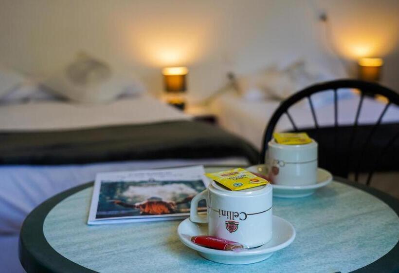 חדר סטנדרט לשלושה, Terranostra