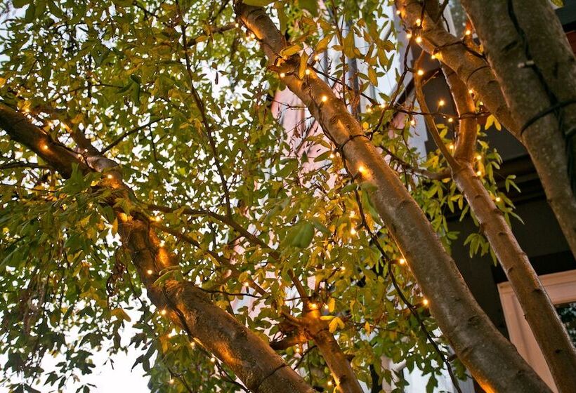 חדר סטנדרט לשלושה, The Rosebery Boutique