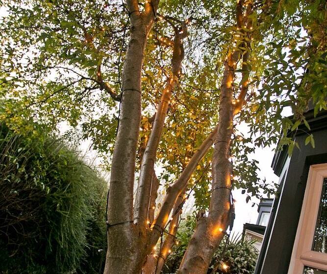 חדר סטנדרט לשלושה, The Rosebery Boutique