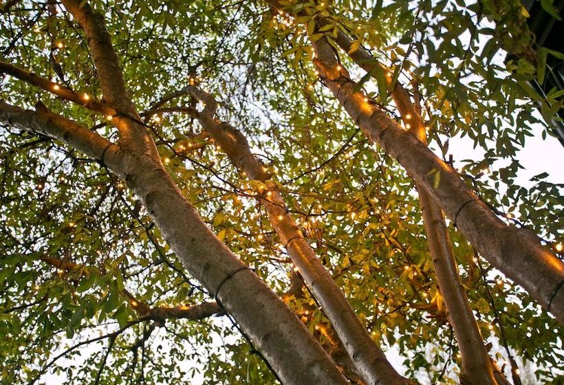 חדר סופריור, The Rosebery Boutique