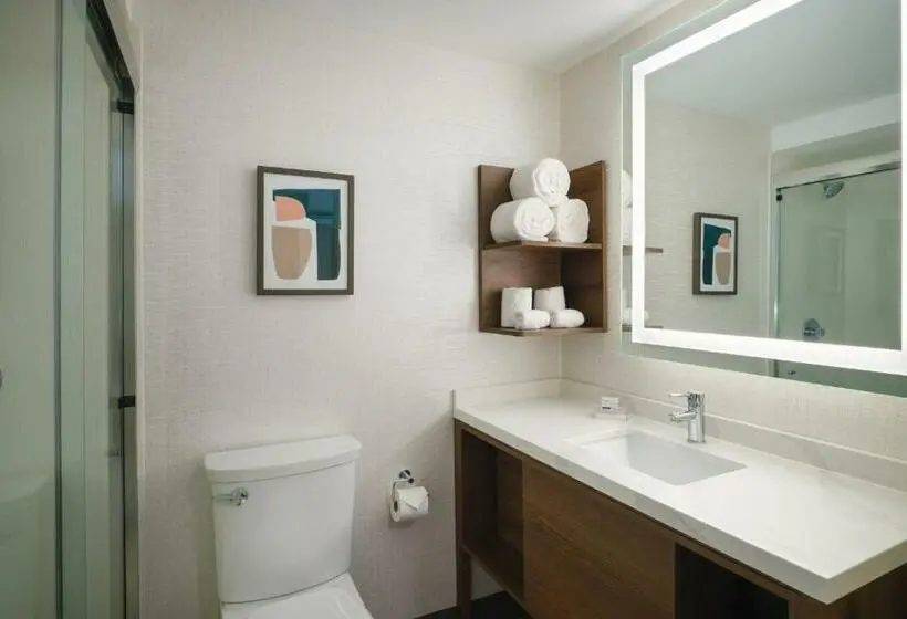 プレミアムルーム, Holiday Inn Chicago O Hare   Rosemont, An Ihg