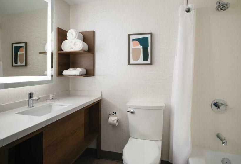 غرفة قياسية لذوى الاحتياجات الخاصة, Holiday Inn Chicago O Hare   Rosemont, An Ihg