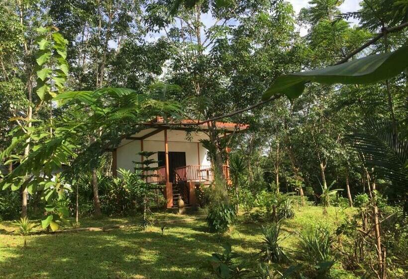 חדר סטנדרט, Baansuan Suksangob Farm Stay