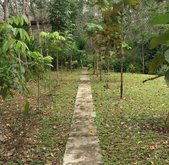 스탠다드 룸, Baansuan Suksangob Farm Stay