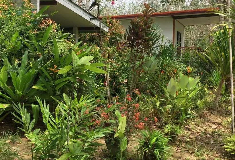 اتاق استاندارد, Baansuan Suksangob Farm Stay