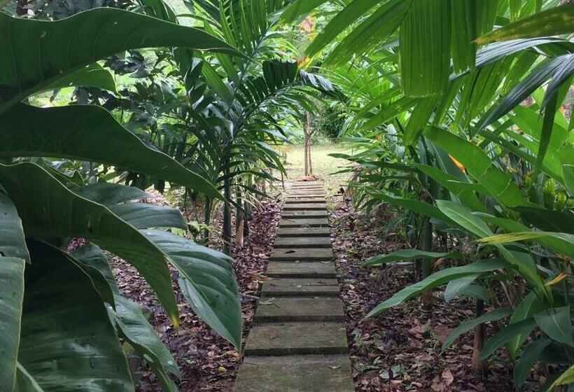 חדר סטנדרט, Baansuan Suksangob Farm Stay