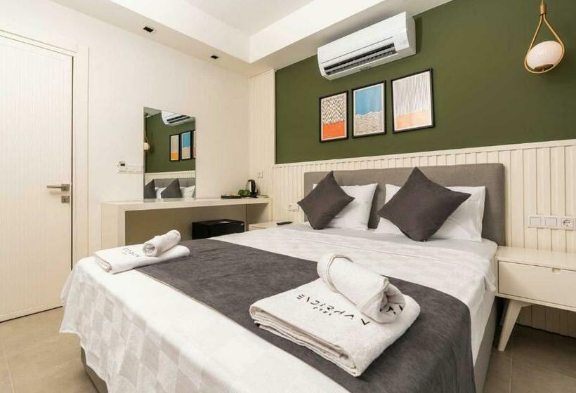 Camera Standard, Kas Evderhan