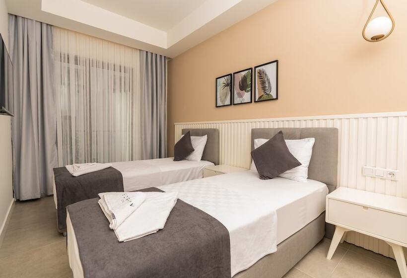 Camera Standard, Kas Evderhan