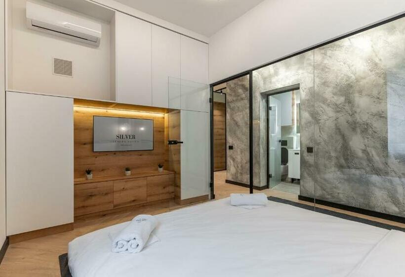 شقة ديلوكس غرفة واحدة, Silver Luxury Suites