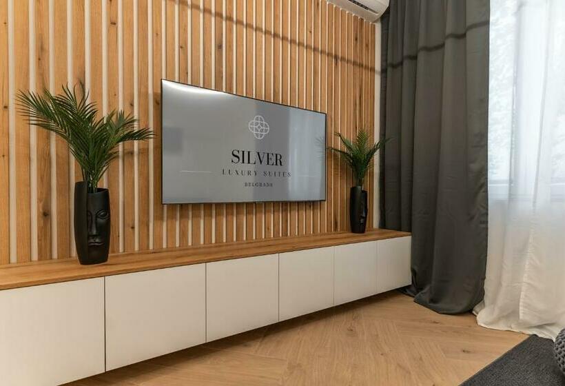 شقة ديلوكس غرفة واحدة, Silver Luxury Suites