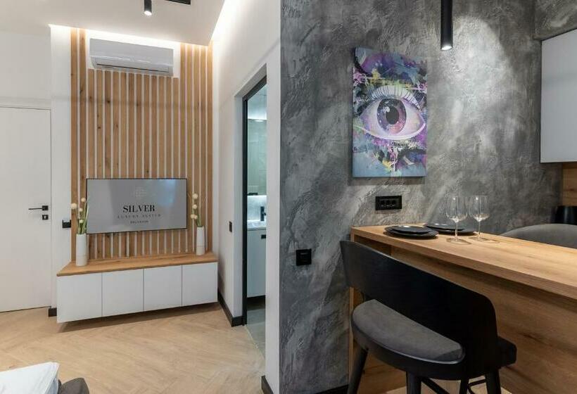 غرفة سوبيريور, Silver Luxury Suites
