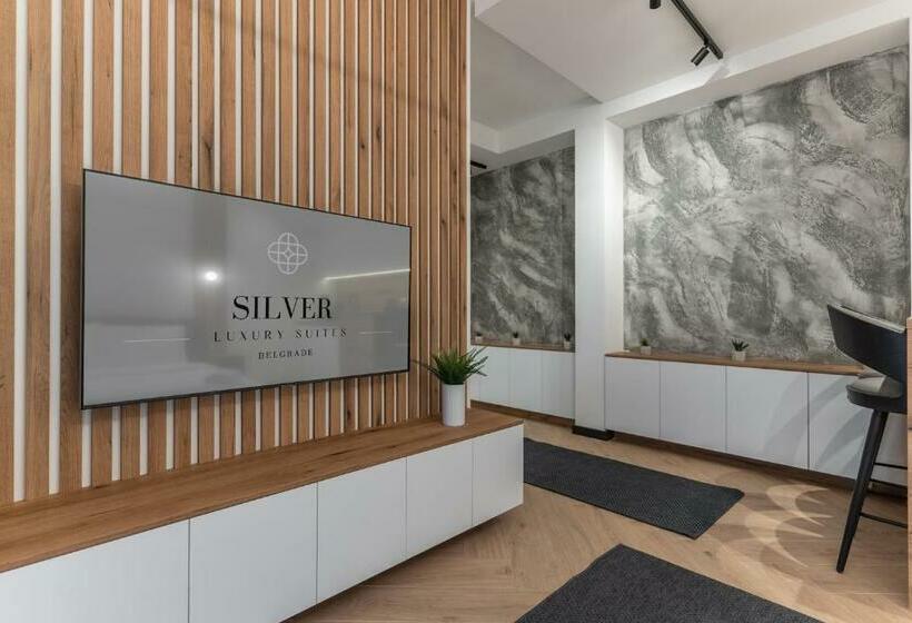 غرفة قياسية مزوَّدة بتراس, Silver Luxury Suites