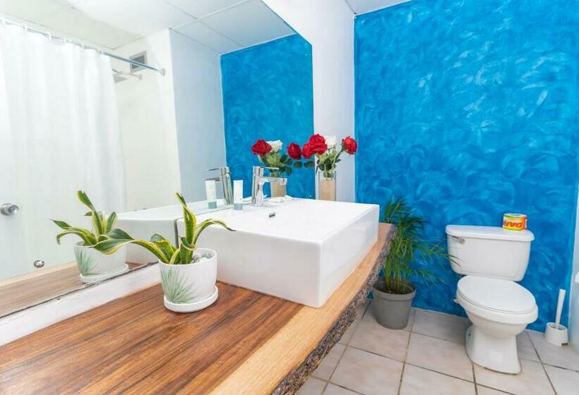 اتاق استاندارد با چشم‌انداز دریا, Sand And Tan Beach