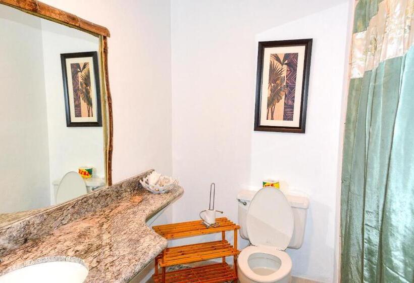 اتاق لوکس با تخت بزرگ, Sand And Tan Beach