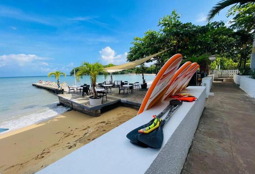 اتاق استاندارد با تخت بزرگ, Sand And Tan Beach