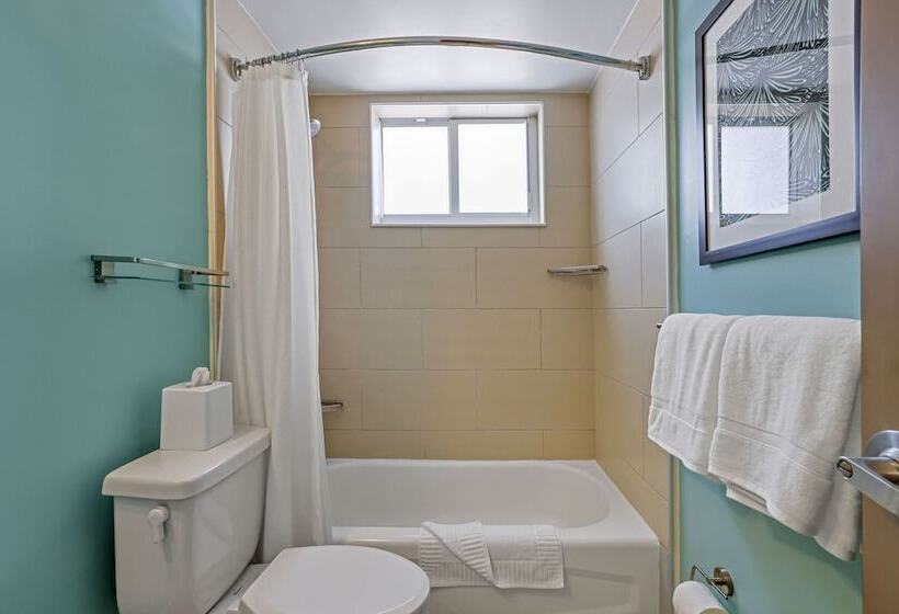 شقة غرفة نوم واحدة مزودة بشُرفة, The Malone