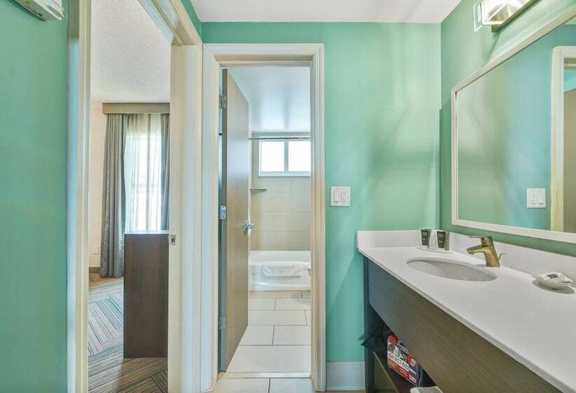 شقة غرفة واحدة, The Malone