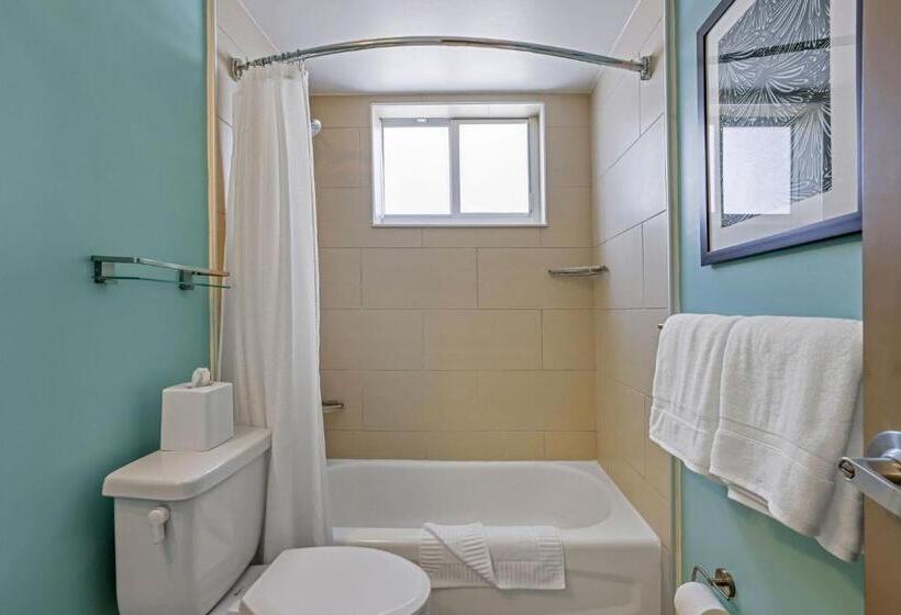 شقة غرفة نوم واحدة مزودة بشُرفة, The Malone