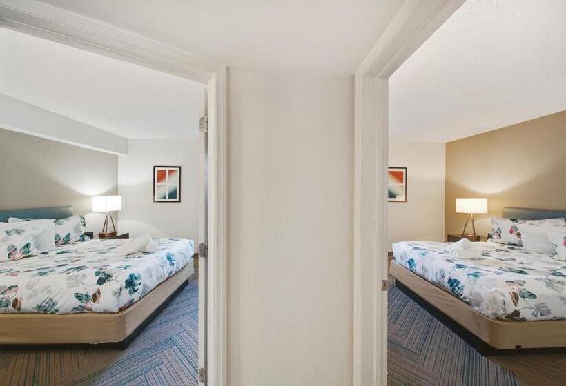 شقة غرفتين, The Malone