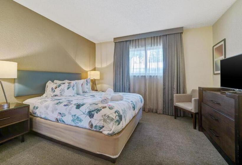 شقة غرفة واحدة, The Malone