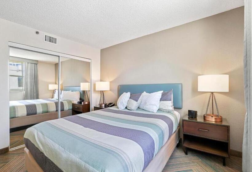 شقة غرفتين نوم مزودة بشُرفة, The Malone