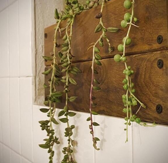 Номер Стандарт Вид на Море, Lejos Eco Retreat