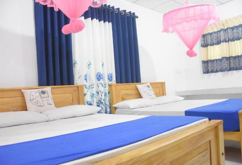 اتاق استاندارد, Lion Home Stay Anuradhapura