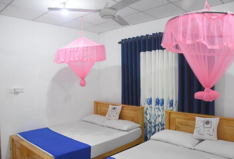 اتاق استاندارد, Lion Home Stay Anuradhapura