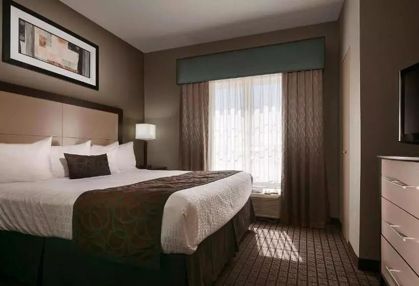 キングサイズベッドのスイートルーム, Best Western Plus Magee Inn & Suites