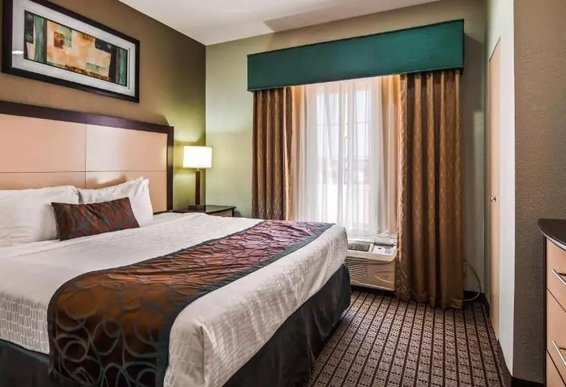 身障者適用キングサイズベッドルーム, Best Western Plus Magee Inn & Suites