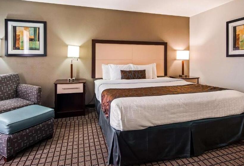 Номер Стандарт Кровать Кинг Адаптированный для Инвалидов, Best Western Plus   Magee Inn & Suites