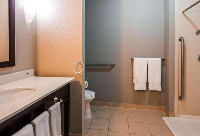 غرفة قياسية سرير كينج لذوى الإحتياجات الخاصة, Best Western Plus   Magee Inn & Suites