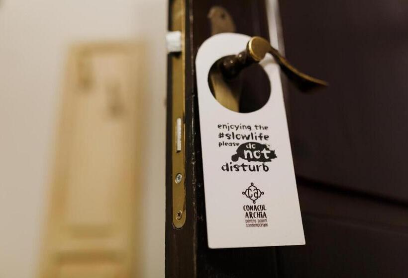 펜트하우스 룸, Conacul Archia