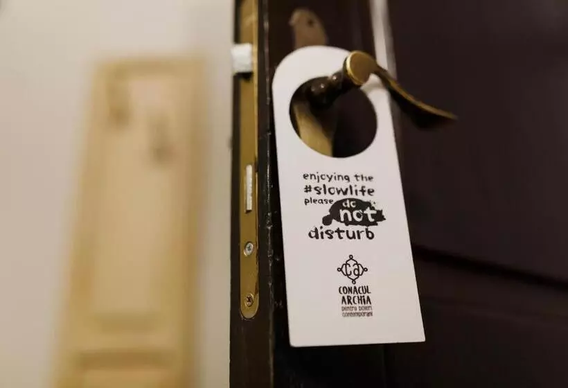 Habitació Àtic, Conacul Archia