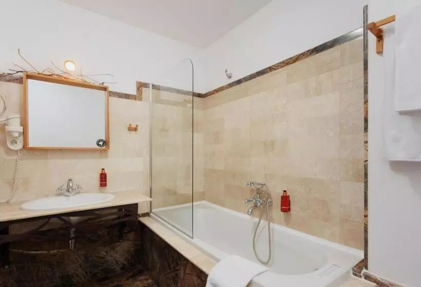 Habitació Superior, Conacul Archia