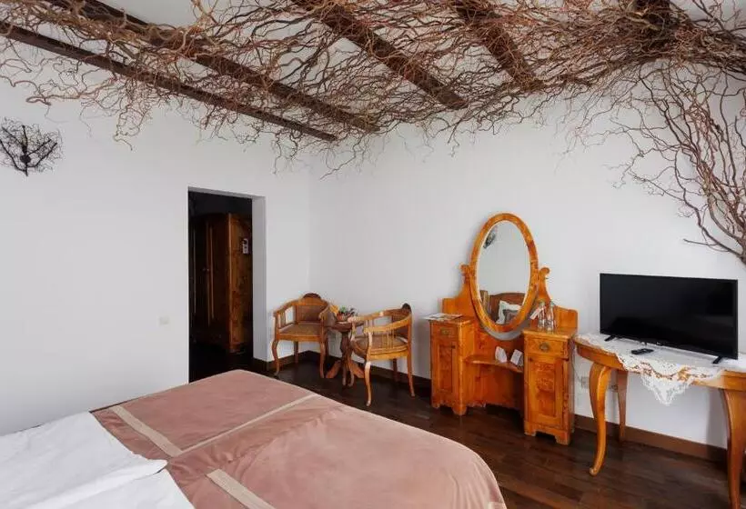 Habitació Superior, Conacul Archia