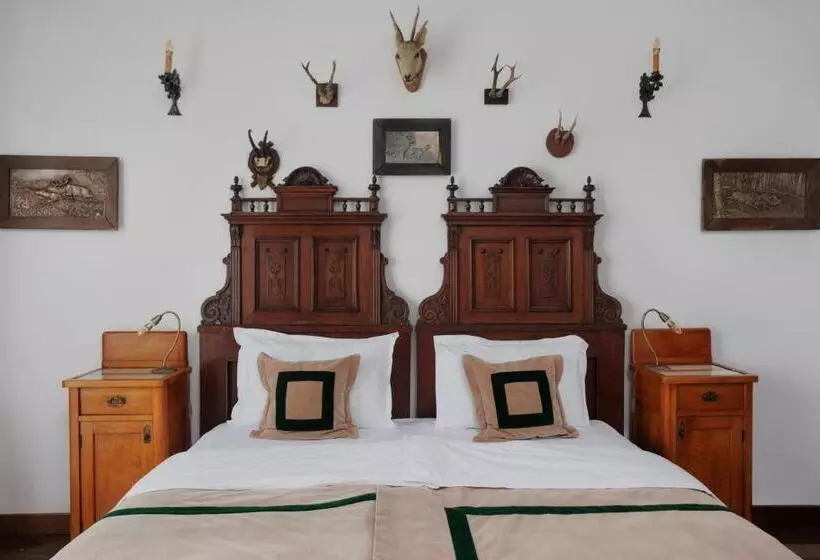 Habitació Superior, Conacul Archia