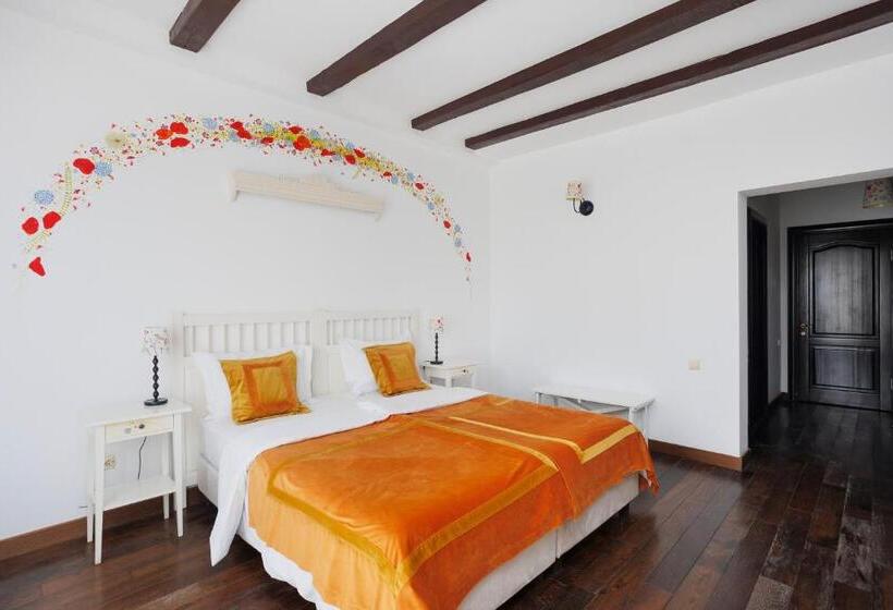 수피리어 룸, Conacul Archia