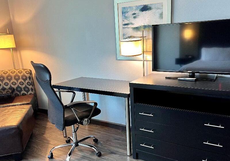 身障者適用スタンダードルーム, Holiday Inn Carlsbad/san Diego, An Ihg