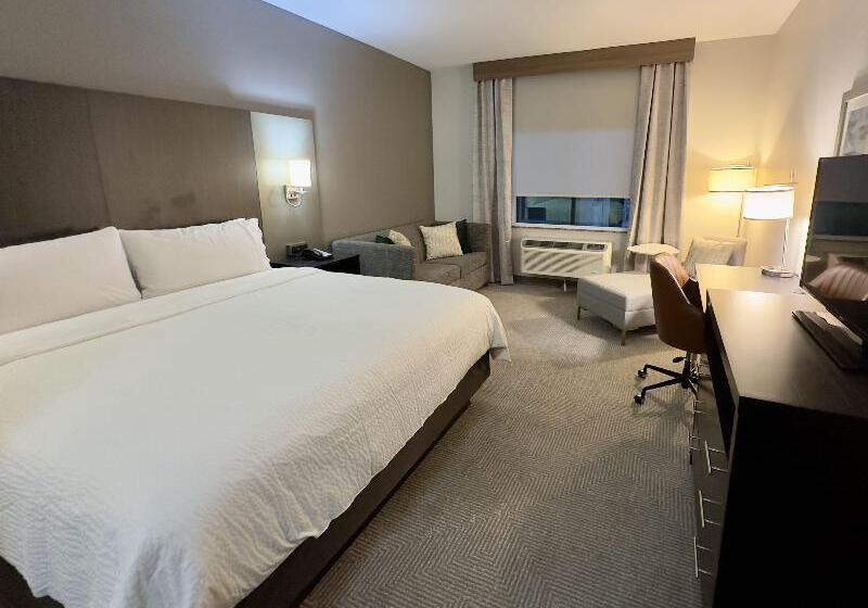 장애인을 위한 스탠다드 룸, Holiday Inn Carlsbad/san Diego, An Ihg