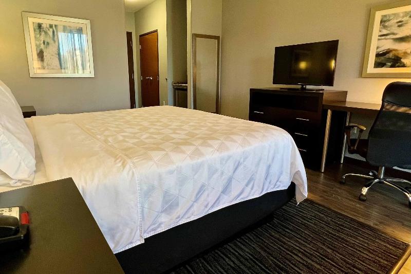 身障者適用スタンダードルーム, Holiday Inn Carlsbad/san Diego, An Ihg