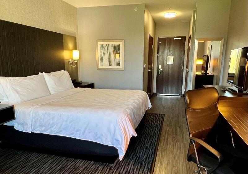 غرفة قياسية لذوى الاحتياجات الخاصة, Holiday Inn Carlsbad/san Diego, An Ihg