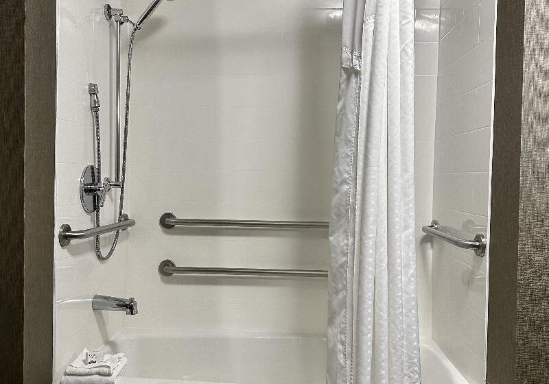 장애인을 위한 스탠다드 룸, Holiday Inn Carlsbad/san Diego, An Ihg
